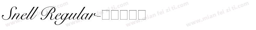 Snell Regular字体转换
